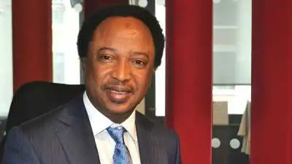 You Are A Disgrace, Kaduna APC Replies Sheu Sani